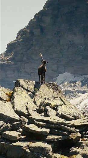 The Peaceful Alps #alps #france #switzerland