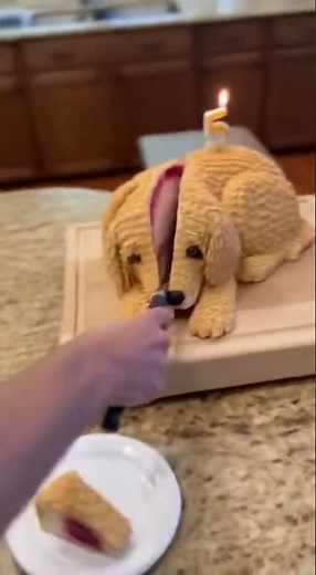 Real Dog Cake Cut Open Triggers Hilarious Doggy Escape