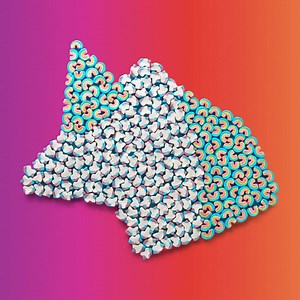 It's National Unicorn Day and the party is here! 🎉🦄💕 Celebrate by trying to win a box of ALL 🌈Rainbow🌈 and 🦄Unicorn🦄 Marshmallow Only Lucky Charms! Details: https://bit.ly/2oPMmSc Rules: https://bit.ly/2TKNto0 | Lucky Charms