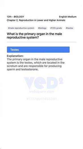 Male Reproductive System Primary Organ 12th Biology