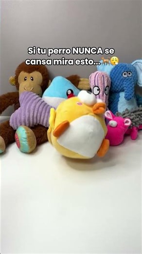 Tu Perro Necesita este Juguete🥹🐕