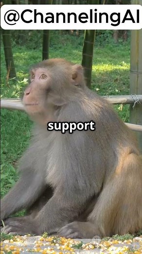 Engineer Monkey: Bloons TD5's Secret Weapon!