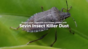 Sevin Insect Killer Dust 3LB
