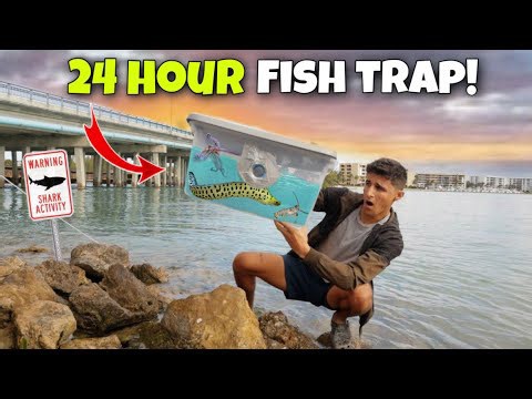 24-hour fish trap surprise: look what I found!