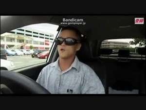 【新機能】シャムさんを動かして遊ぶ動画