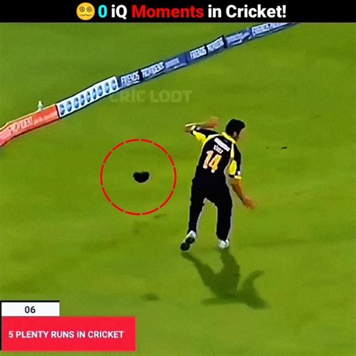 0 iQ Moments in Cricket..!! 😃