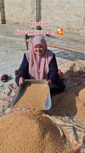 Manual Wheat Processing in Pakistan