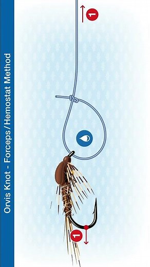 How To Tie The Orvis Knot - Forceps-Hemostat Method