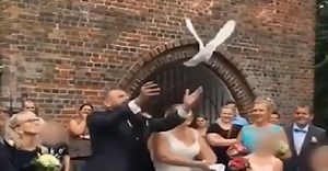[VIDEO] When a couple's dove release after their wedding went horribly wrong