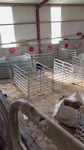 New Sheeting a serious Job @Greenhill Systems #farm #farming #sheep #cows #tractors