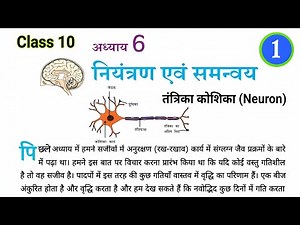 नियंत्रण एवं समन्वय || control and coordination class 10 || niyantran evam samanvay class 10th