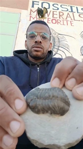 This Fossil Is Older Than Dinosaurs 😳 400M Years Old!