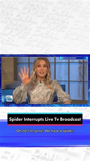 DBL is a live show… and sometimes things do not go to plan. As we came back from break today there was a spider on the table, and Sam Schacher was not a fan… Take a look. #dbl#dbli#dailyblastlivev#livervs#tvshowv#livebroadcasti#spideri#spiderscarea#scaredro