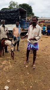 4.9K views · 895 reactions | Sheep's market | Lks Chanal | Facebook