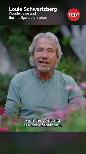 The wonder and intelligence of nature - Louie Schwartzberg #shorts #tedx