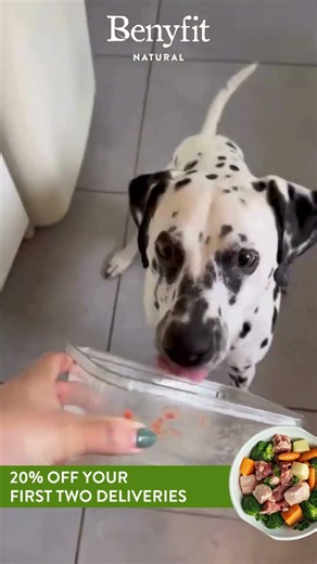 Benyfit Natural - Raw Dog Food Subscription - Oreo Testimonial