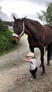 Une enfant de 15 mois va se promener avec son cheval " gigantesque " 💕 | RegardeCetteVideo