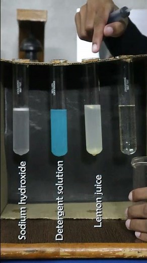 Red Cabbage Indicator 😮 | Class 10 Science Chapter 2 | Learn Practically