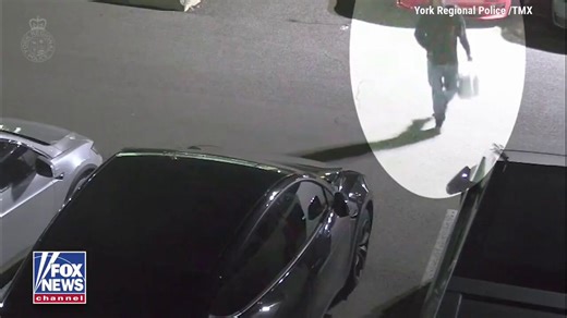 🇨🇦 The Vaughan @Tesla dealership in Canada was torched! The asshole poured accelerant and set 5 vehicles on fire.Cops released a clear video and are hunting him down.From Molotov cocktails in the U.S. to showrooms going up in flames.Whether it's grudges, insurance plays, or political rage, arsons are popping off way more visibly lately.Source: Fox News