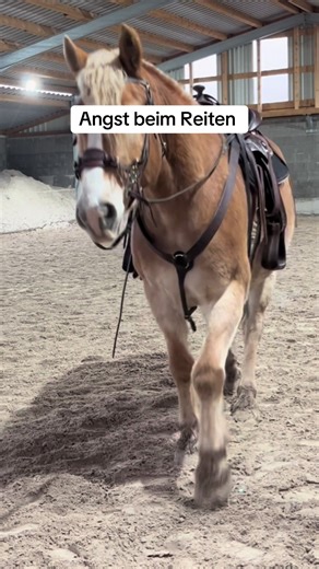 Angst beim Reiten nach dem Sturz überwinden