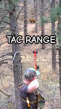 Good and Bad on the TAC range 🎯 #totalarcherychallenge #TAC #hoytarchery #longrangeprecision #bows