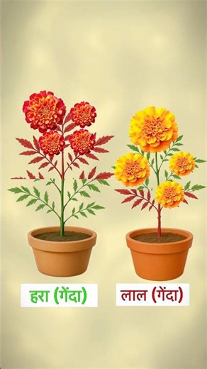 Experiment with plant || #experiements #viralshorts