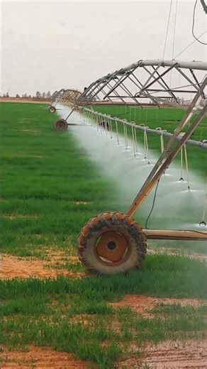 The Future of Agriculture: Smart Water Management Technology (4K)