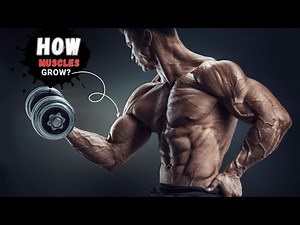 HOW DOES MUSCLE GROW?