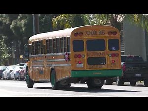 School Bus - Blue Bird Vision Electric #379 CVESD
