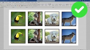 Como poner varias imágenes del mismo tamaño en WORD | 2026