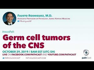 Germ cell tumors of the CNS - Dr. Rodriguez (Hopkins) #NEUROPATH