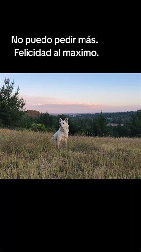 Caro_Lin_Angelita on TikTok