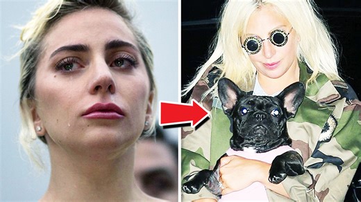 The incident involving Lady Gaga and her dogs explained