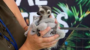 Hands-on exotic animal exhibit coming to Nashville this weekend