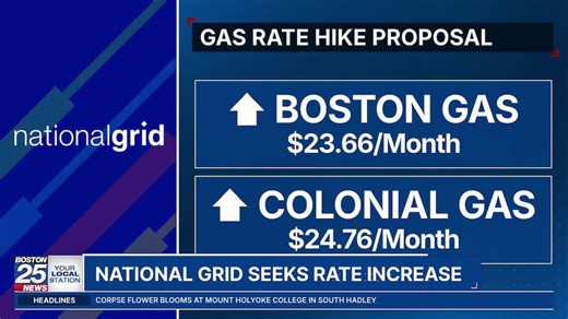 National Grid seeks rate increase