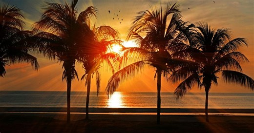 ¿CALUROSO? Así estará el clima en el estado de Veracruz hoy 11 de abril de 2026