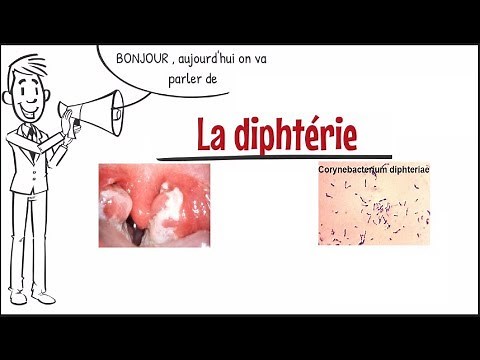 Diphtérie ;symptômes,origines,facteurs de risque ;Prévention et traitement