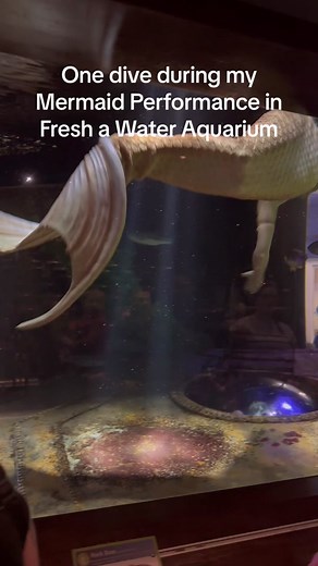 Hey there! Im Felicia with Fins! I am a internationally performing mermaid, underwater model, free diver, and scuba diver! I wanted to share a video introducing myself since weve had some new followers and viewers! Follow and comment if you believe in magic and want to share in the jou of underwater performance art! 🤍 #mermaids #performingmermaid #aquariummermaid #tiktokwithfins #merpeople @Mermaids Make Waves