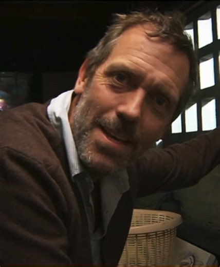 Hugh Laurie: From Dr. House to Iconic Roles