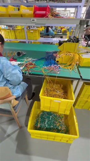 Professional Cable Harness Assembly