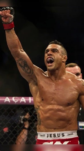 Top UFC Knockouts of 2013 💥