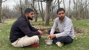 Discussing regarding Fertlizer application,Right way and Best time for Fertlizer Application And the conditions required for fertlizer uptake | Green Horticulture Kashmir