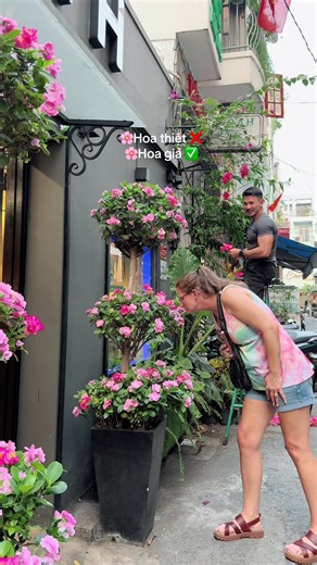 The Beauty of Real vs. Fake Flowers