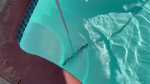 Your pool called 📞 - its craving a weekly glow-up! 🧽✨ #poolpractitioner #pool #poolservice #poolcleaning #smallbusiness #repair #taft #bakersfield #cleaning #hot #melting #summer #notready #poolrepair