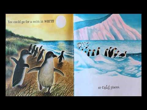 If You Were a Penguin