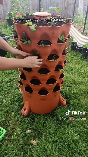 FIND MORE INFO YOU KNOW WHERE! @gardentowerproject I can't wait to see how much food and compost I'm able to harvest in such a small space! Since I rent I'm excited to take this garden tower with me anywhere I go! #containergardening #gardentowerproject #gardentower #apartmentgarden #rentalgardening #gardentok #growfoodnow #texasgardener