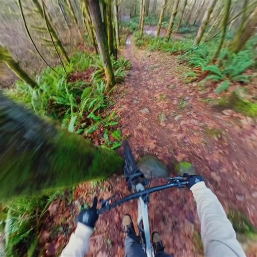 Conquering Tech Trails: Downhill MTB Adventure