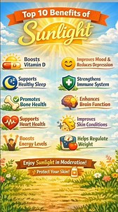 Top 10 Benefits of Sunlight You Shouldn’t Ignore