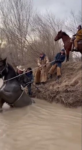 🐎💦 Injured Horse Pulled from Mud by Riders 😭🐴 | Wild Interaction Diaries
