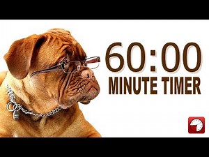 60 Minute Timer for PowerPoint and School - Alarm Sounds with Dog Bark